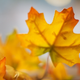 Image for article titled Shooting Challenge Freelensing Gallery 1